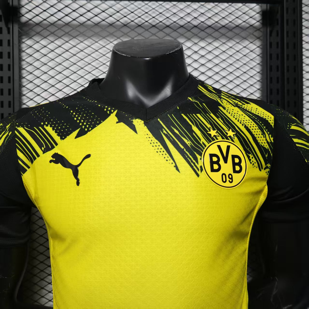 Dortmund 25/26 - Version joueur