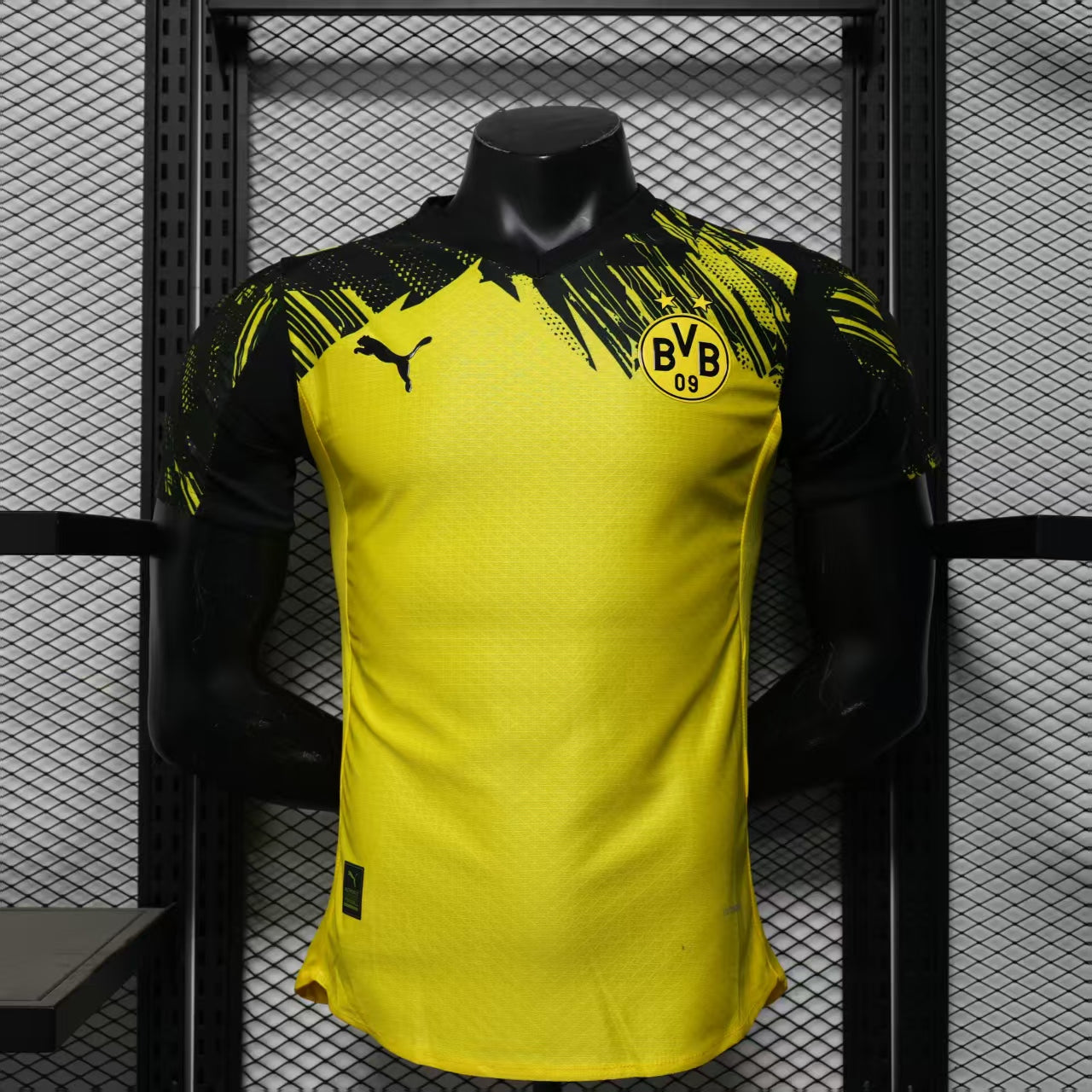 Dortmund 25/26 - Version joueur