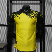 Dortmund 25/26 - Version joueur