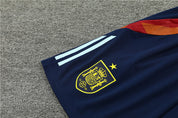 Ensemble Spagna