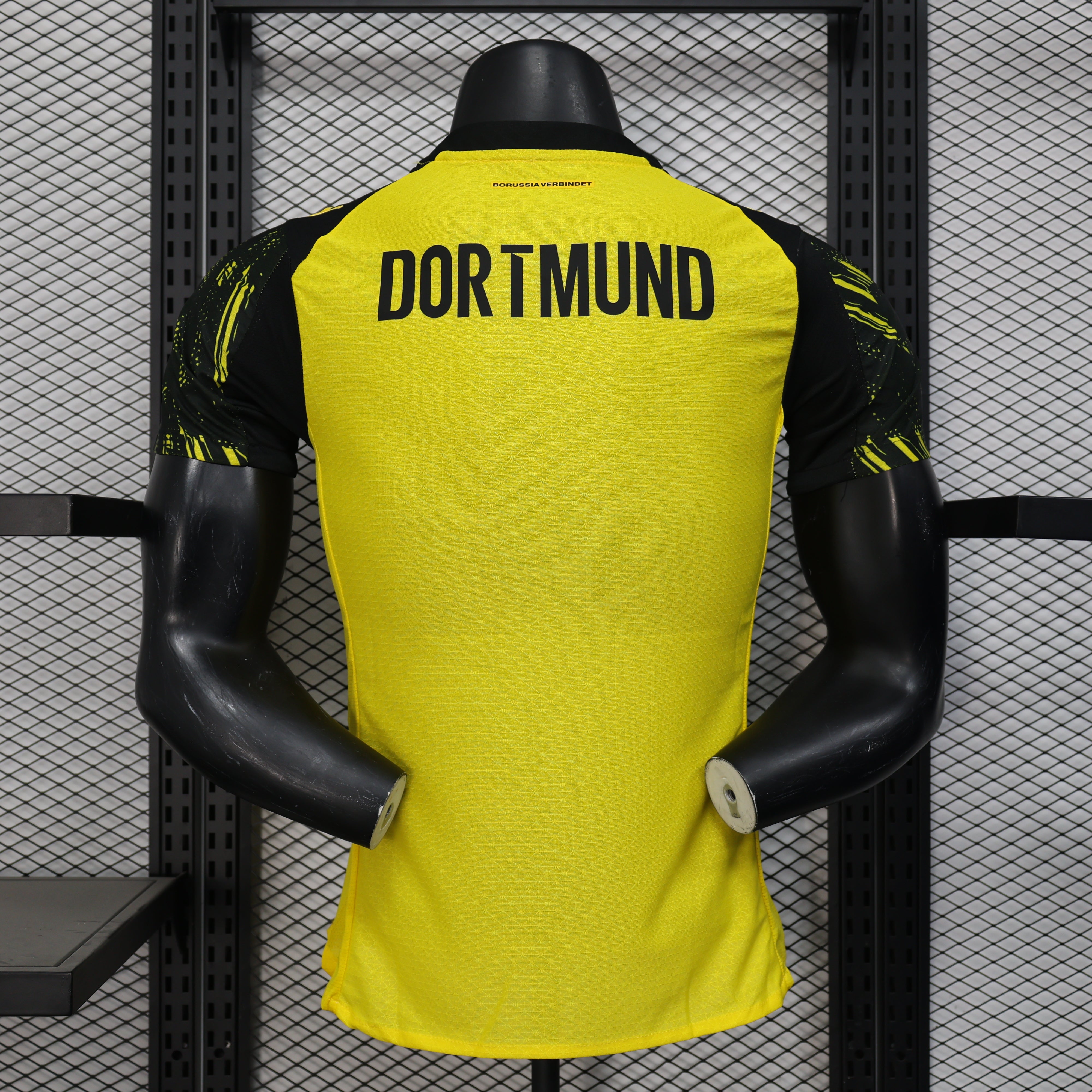 Dortmund 25/26 - Version joueur