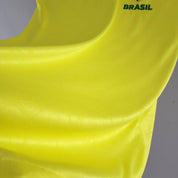 Coupe du monde Brésil 2022