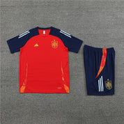 Ensemble Spagna